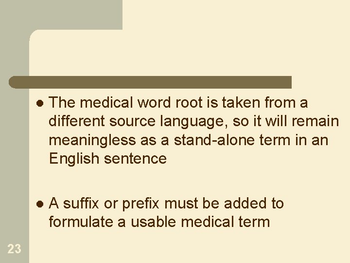 23 l The medical word root is taken from a different source language, so