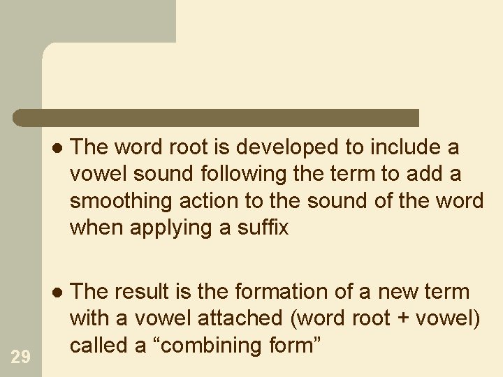 29 l The word root is developed to include a vowel sound following the