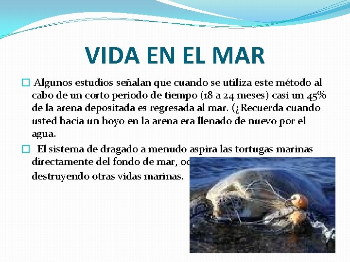 VIDA EN EL MAR � Algunos estudios señalan que cuando se utiliza este método