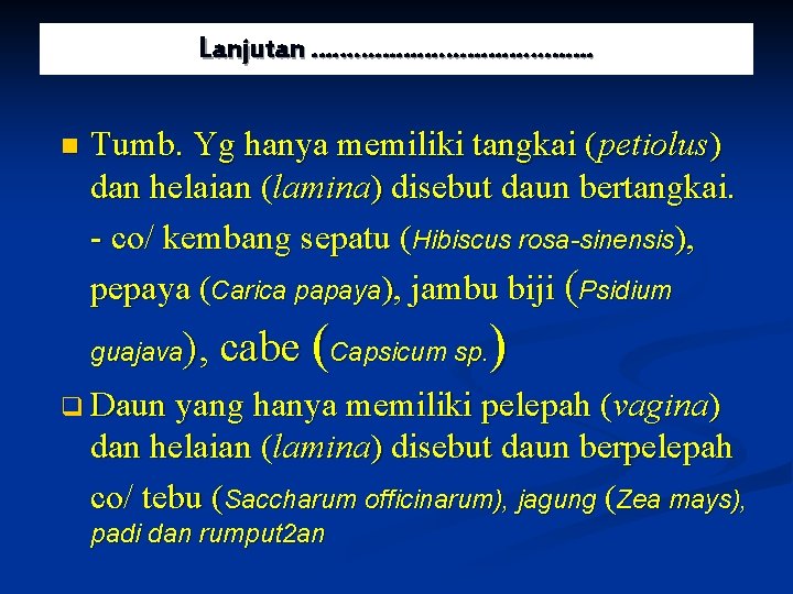 Lanjutan …………………. n Tumb. Yg hanya memiliki tangkai (petiolus) dan helaian (lamina) disebut daun