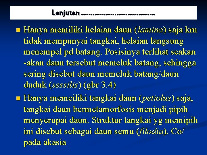 Lanjutan …………………. Hanya memiliki helaian daun (lamina) saja krn tidak mempunyai tangkai, helaian langsung