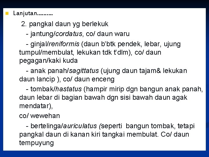 n Lanjutan………. 2. pangkal daun yg berlekuk - jantung/cordatus, co/ daun waru - ginjal/reniformis