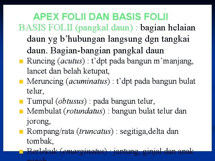 APEX FOLII DAN BASIS FOLII (pangkal daun) : bagian helaian daun yg b’hubungan langsung