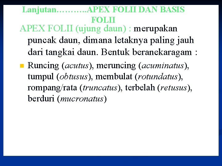 Lanjutan………. . APEX FOLII DAN BASIS FOLII APEX FOLII (ujung daun) : merupakan puncak