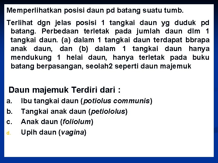 Memperlihatkan posisi daun pd batang suatu tumb. Terlihat dgn jelas posisi 1 tangkai daun