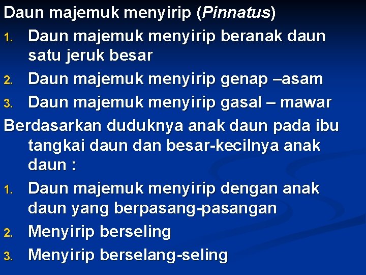 Daun majemuk menyirip (Pinnatus) 1. Daun majemuk menyirip beranak daun satu jeruk besar 2.