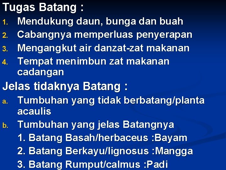 Tugas Batang : 1. 2. 3. 4. Mendukung daun, bunga dan buah Cabangnya memperluas