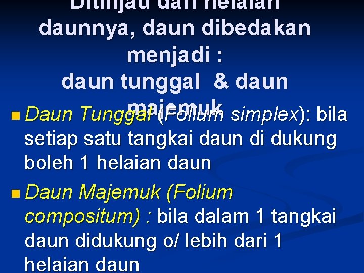 Ditinjau dari helaian daunnya, daun dibedakan menjadi : daun tunggal & daun majemuk n