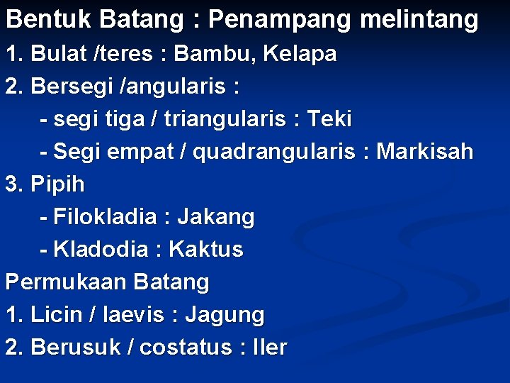 Bentuk Batang : Penampang melintang 1. Bulat /teres : Bambu, Kelapa 2. Bersegi /angularis