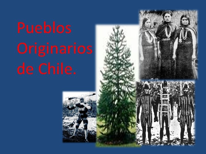 Pueblos Originarios de Chile. 