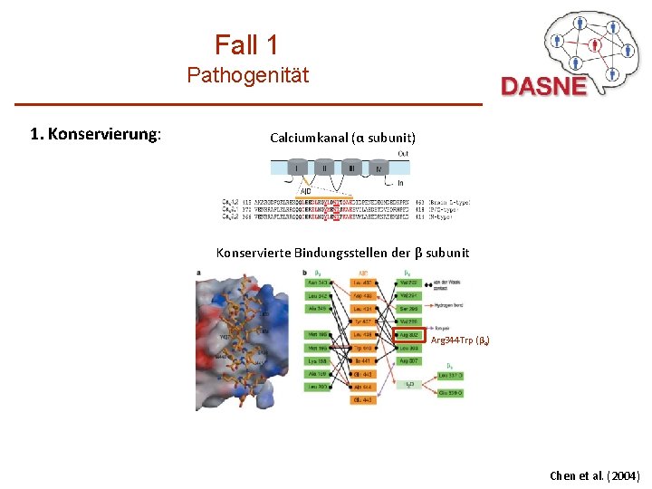 Fall 1 Pathogenität 1. Konservierung: Calciumkanal (α subunit) Konservierte Bindungsstellen der β subunit Arg