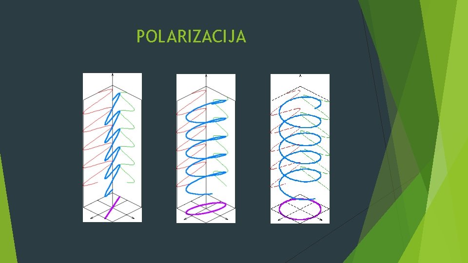 POLARIZACIJA 