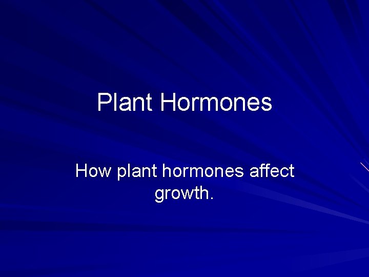 Plant Hormones How plant hormones affect growth. 