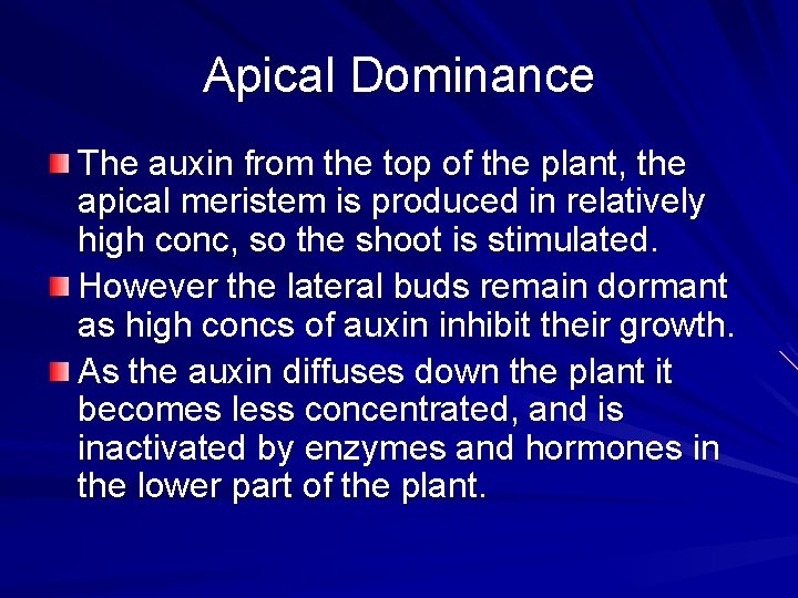 Apical Dominance The auxin from the top of the plant, the apical meristem is