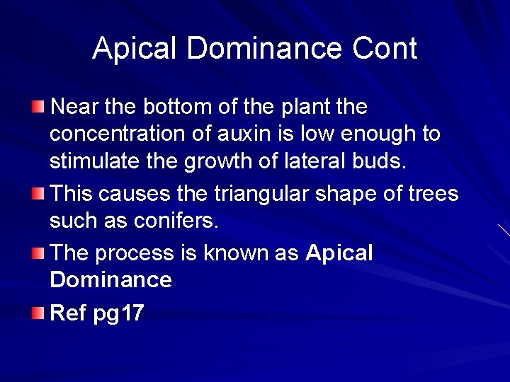 Apical Dominance Cont Near the bottom of the plant the concentration of auxin is