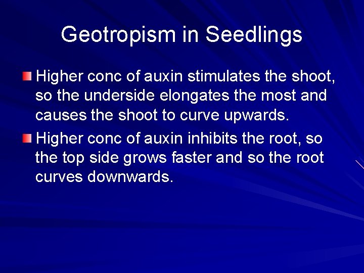 Geotropism in Seedlings Higher conc of auxin stimulates the shoot, so the underside elongates