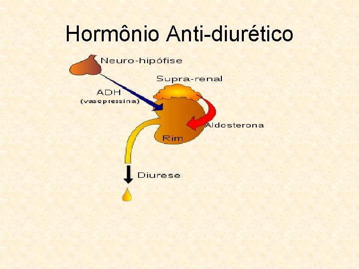 Hormônio Anti-diurético 