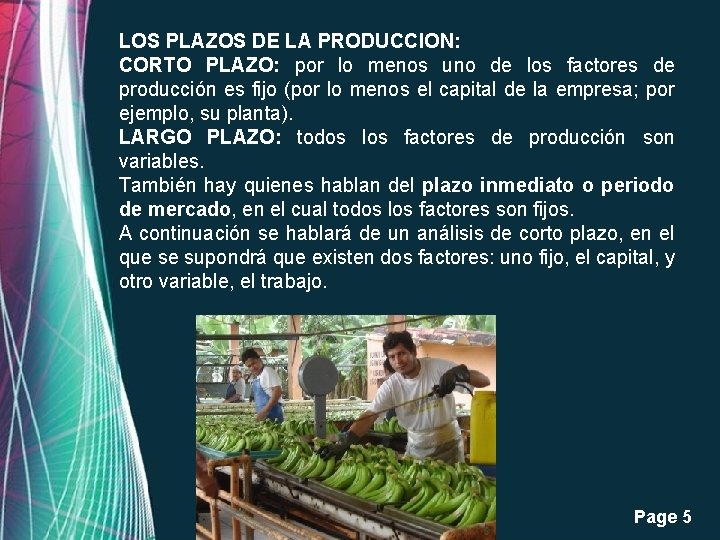 LOS PLAZOS DE LA PRODUCCION: CORTO PLAZO: por lo menos uno de los factores