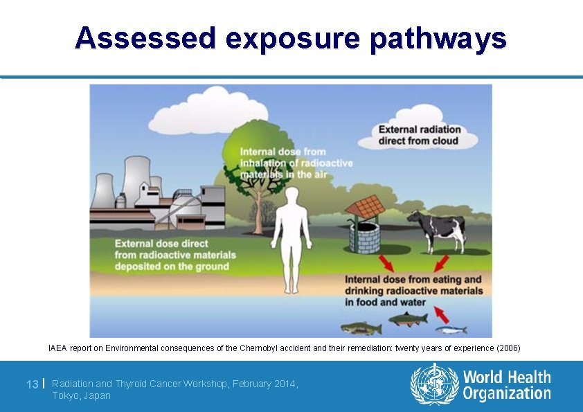 Assessed exposure pathways IAEA report on Environmental consequences of the Chernobyl accident and their