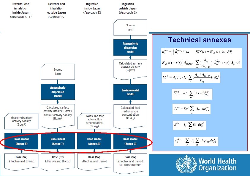 Technical annexes 15 | Radiation and Thyroid Cancer Workshop, February 2014, Tokyo, Japan 