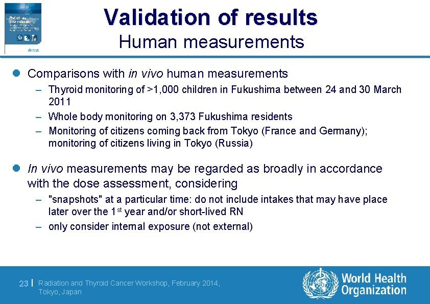 Validation of results Human measurements l Comparisons with in vivo human measurements – Thyroid