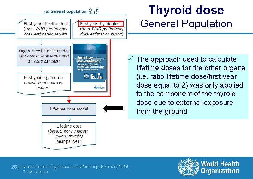 Thyroid dose General Population ü The approach used to calculate lifetime doses for the