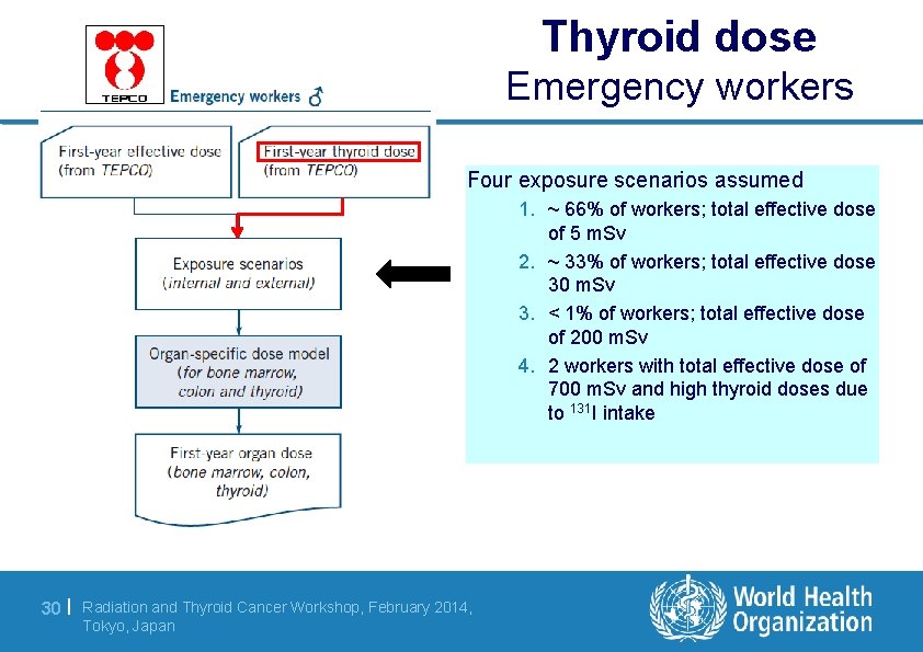 Thyroid dose Emergency workers Four exposure scenarios assumed 1. ~ 66% of workers; total