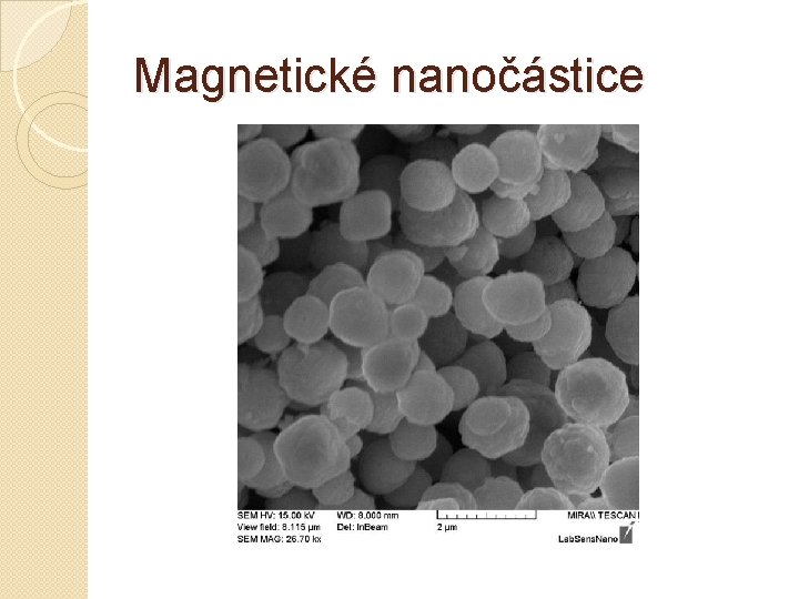 Magnetické nanočástice 