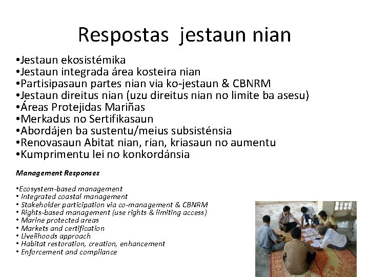 Respostas jestaun nian • Jestaun ekosistémika • Jestaun integrada área kosteira nian • Partisipasaun