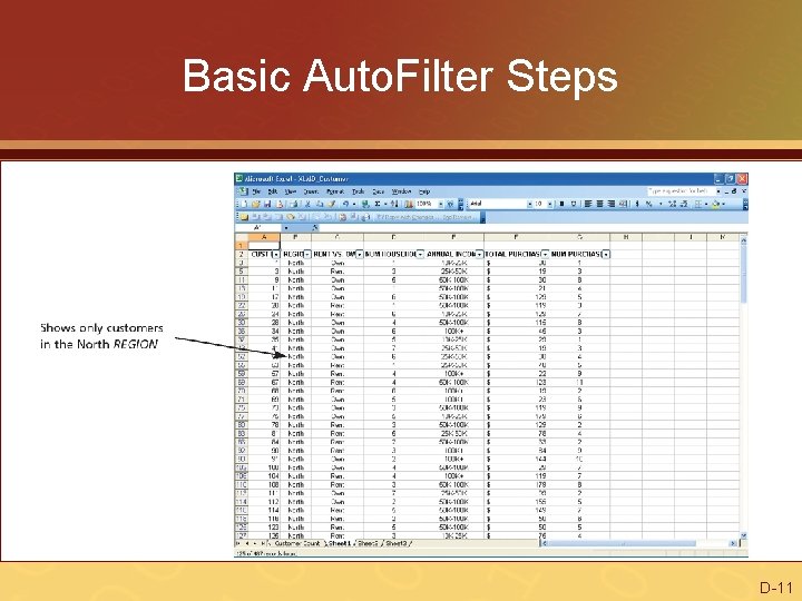 Basic Auto. Filter Steps D-11 