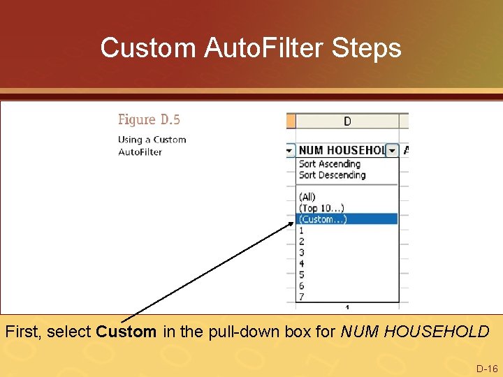 Custom Auto. Filter Steps First, select Custom in the pull-down box for NUM HOUSEHOLD