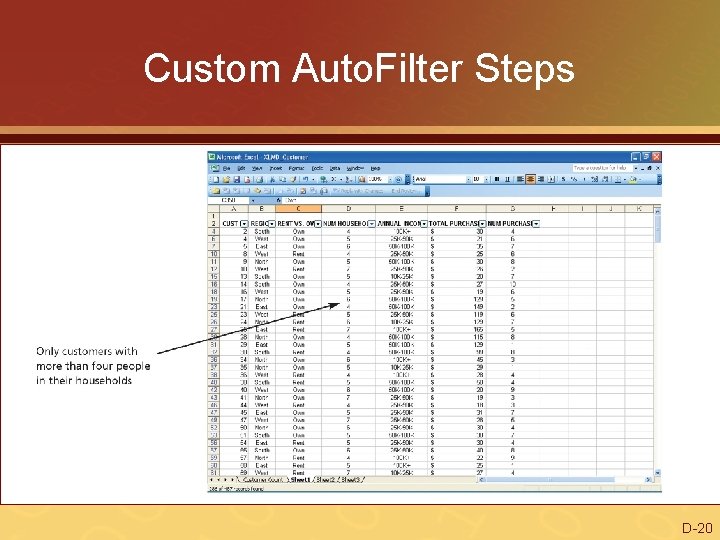Custom Auto. Filter Steps D-20 