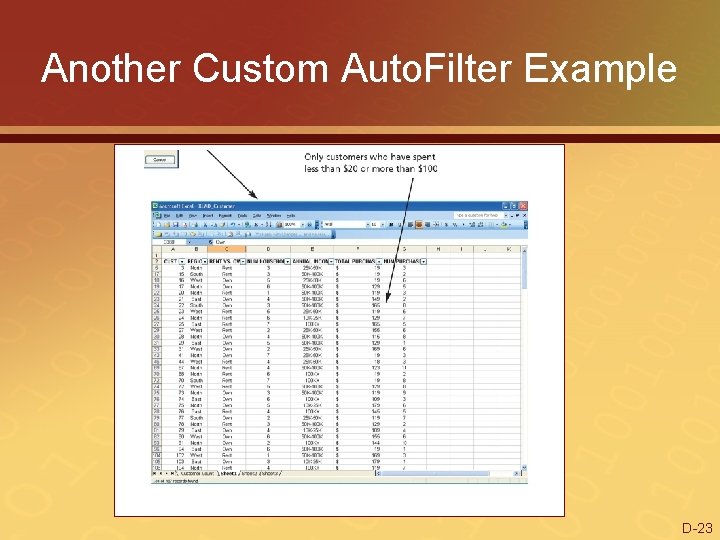 Another Custom Auto. Filter Example D-23 