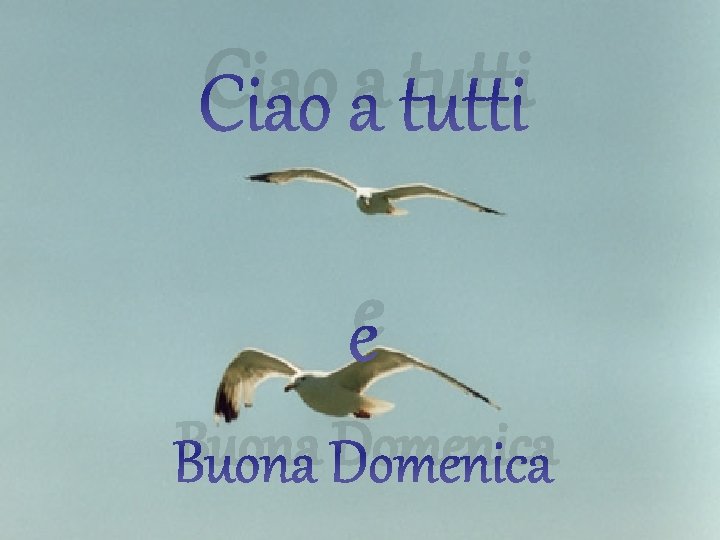 Ciao a tutti e Buona Domenica 