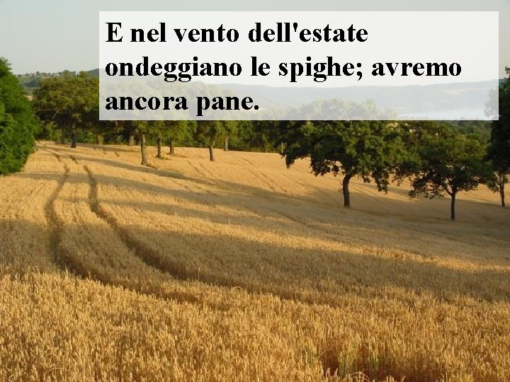 E nel vento dell'estate ondeggiano le spighe; avremo ancora pane. 