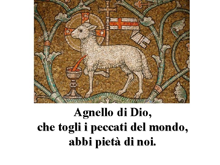 Agnello di Dio, che togli i peccati del mondo, abbi pietà di noi. 