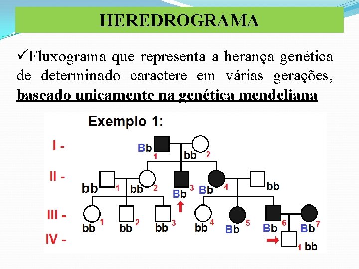 HEREDROGRAMA üFluxograma que representa a herança genética de determinado caractere em várias gerações, baseado