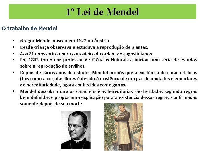 1º Lei de Mendel O trabalho de Mendel § § § Gregor Mendel nasceu