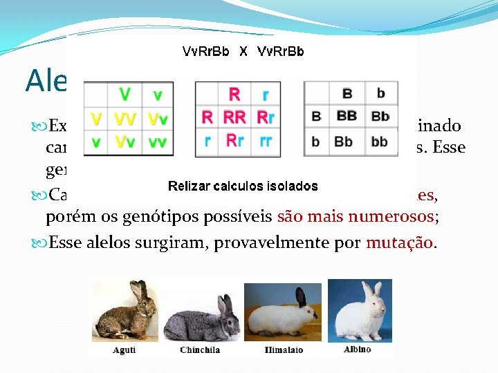 Alelos Multiplos Existem casos em que ocorrem para um determinado caráter , mais de