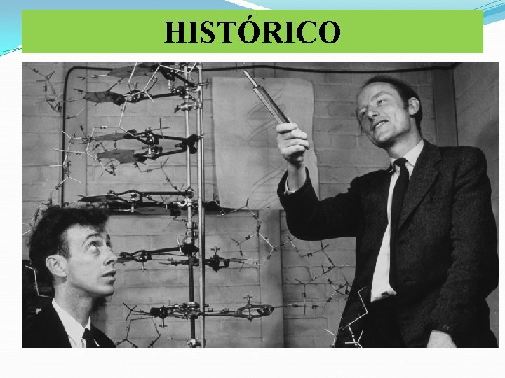HISTÓRICO üEm 1953 Watson e Crick descrevem a estrutura do DNA e abrem as