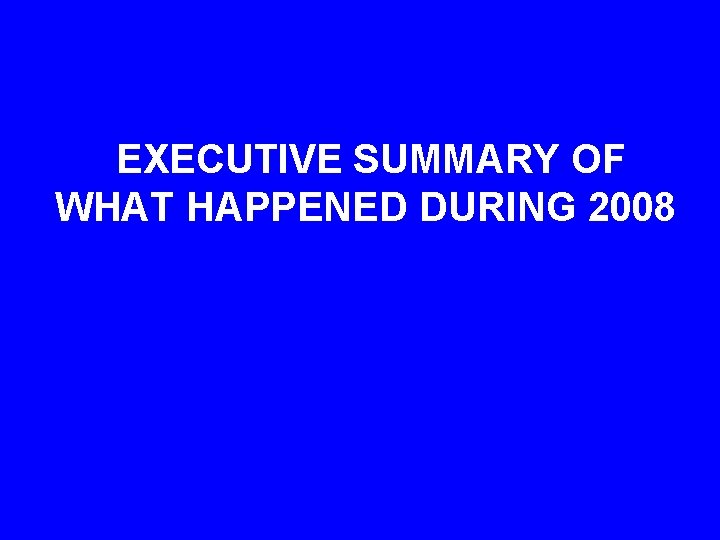 EXECUTIVE SUMMARY OF WHAT HAPPENED DURING 2008 