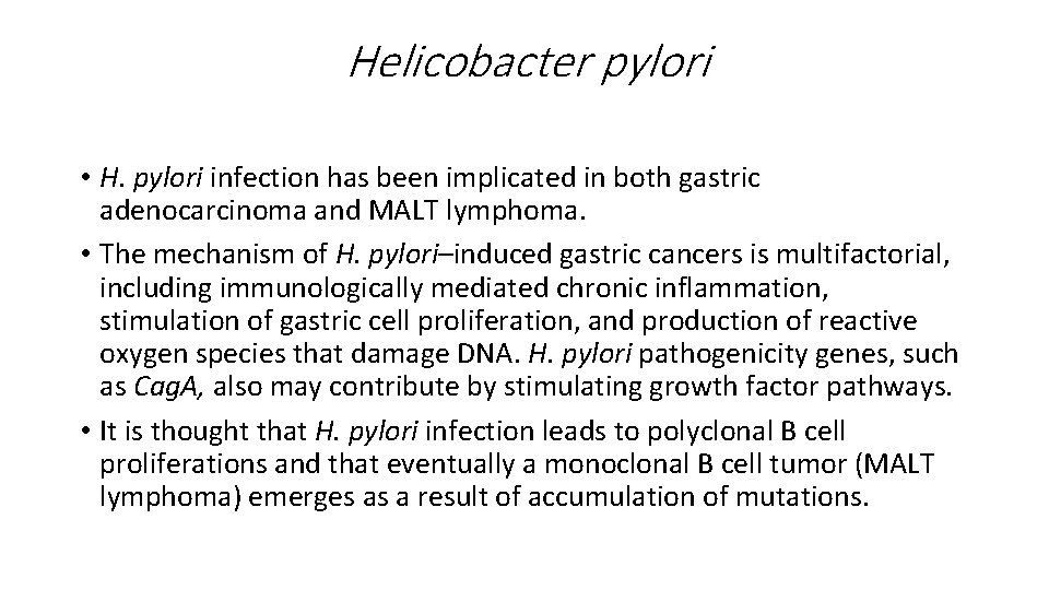 Helicobacter pylori • H. pylori infection has been implicated in both gastric adenocarcinoma and