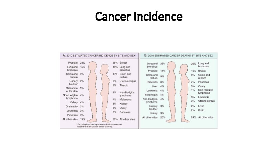 Cancer Incidence 