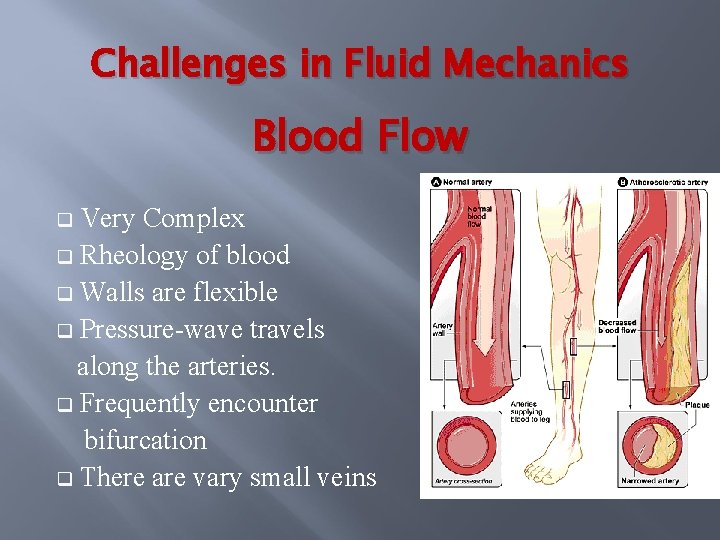 Challenges in Fluid Mechanics Blood Flow Very Complex q Rheology of blood q Walls