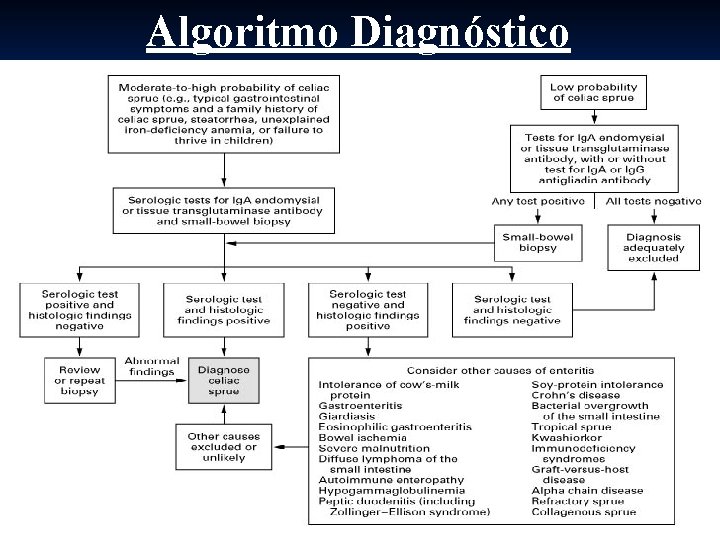 Algoritmo Diagnóstico 