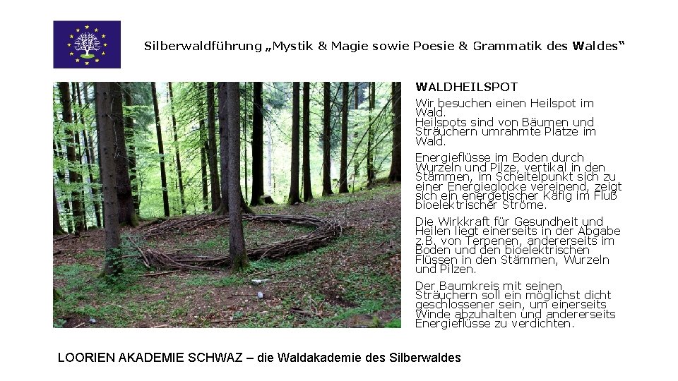 Silberwaldführung „Mystik & Magie sowie Poesie & Grammatik des Waldes“ WALDHEILSPOT Wir besuchen einen