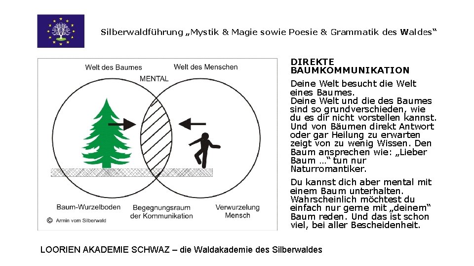 Silberwaldführung „Mystik & Magie sowie Poesie & Grammatik des Waldes“ DIREKTE BAUMKOMMUNIKATION Deine Welt