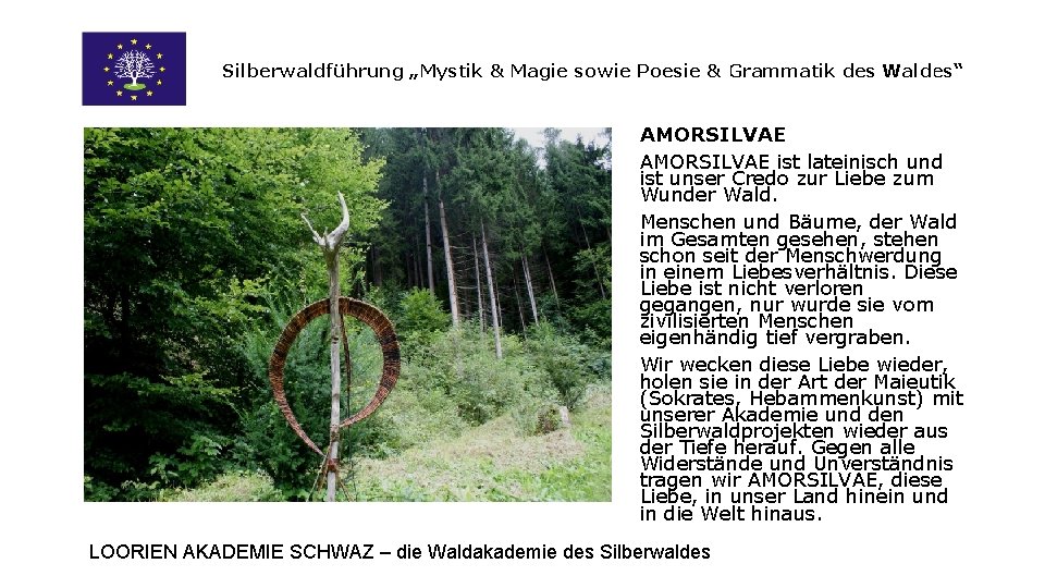 Silberwaldführung „Mystik & Magie sowie Poesie & Grammatik des Waldes“ AMORSILVAE ist lateinisch und