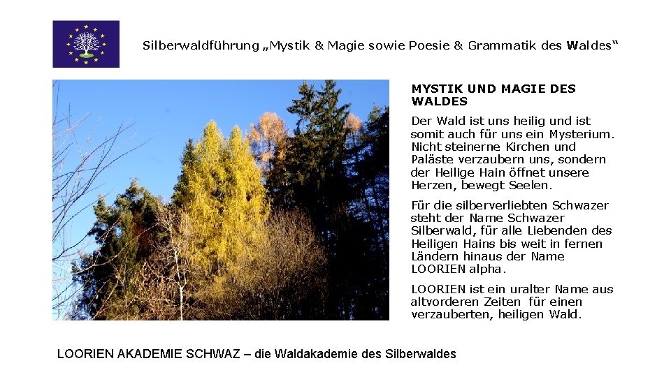 Silberwaldführung „Mystik & Magie sowie Poesie & Grammatik des Waldes“ MYSTIK UND MAGIE DES