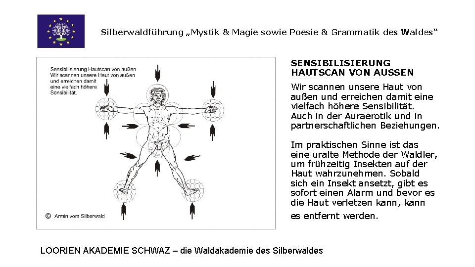 Silberwaldführung „Mystik & Magie sowie Poesie & Grammatik des Waldes“ SENSIBILISIERUNG HAUTSCAN VON AUSSEN